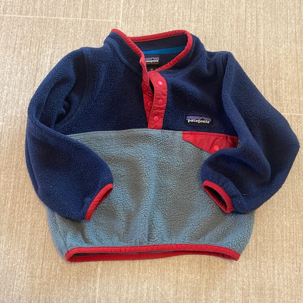 Toddler Patagonia Synchilla pullover